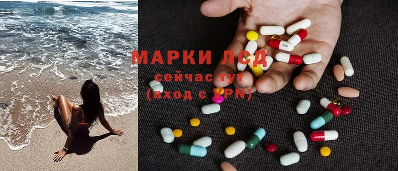 сколько стоит  Дубовка  Лсд 25 экстази ecstasy 